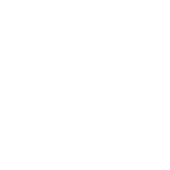 Ambulance Icon