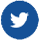 Twitter Icon