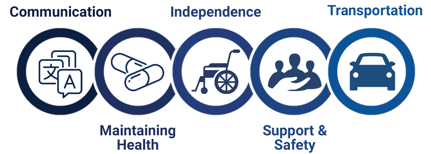 CMIST graphic showing five needs: Communication, Maintaining Health, Independence, Support & Safety, and Transportation.