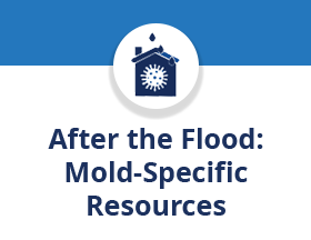 Flood and mold resources