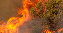 Medical Response and Surge Exercise (MRSE) Bolsters Communication and Coordination in New Mexico During the Real-Life Response and Evacuation to the McBride Fire 