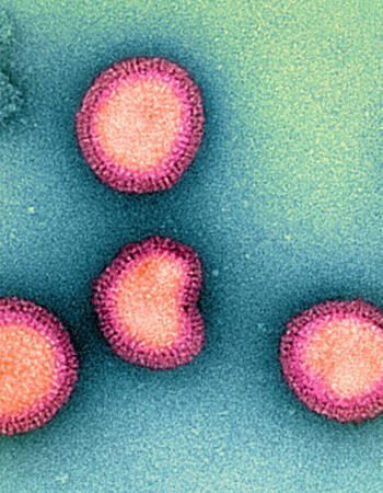 Influenza